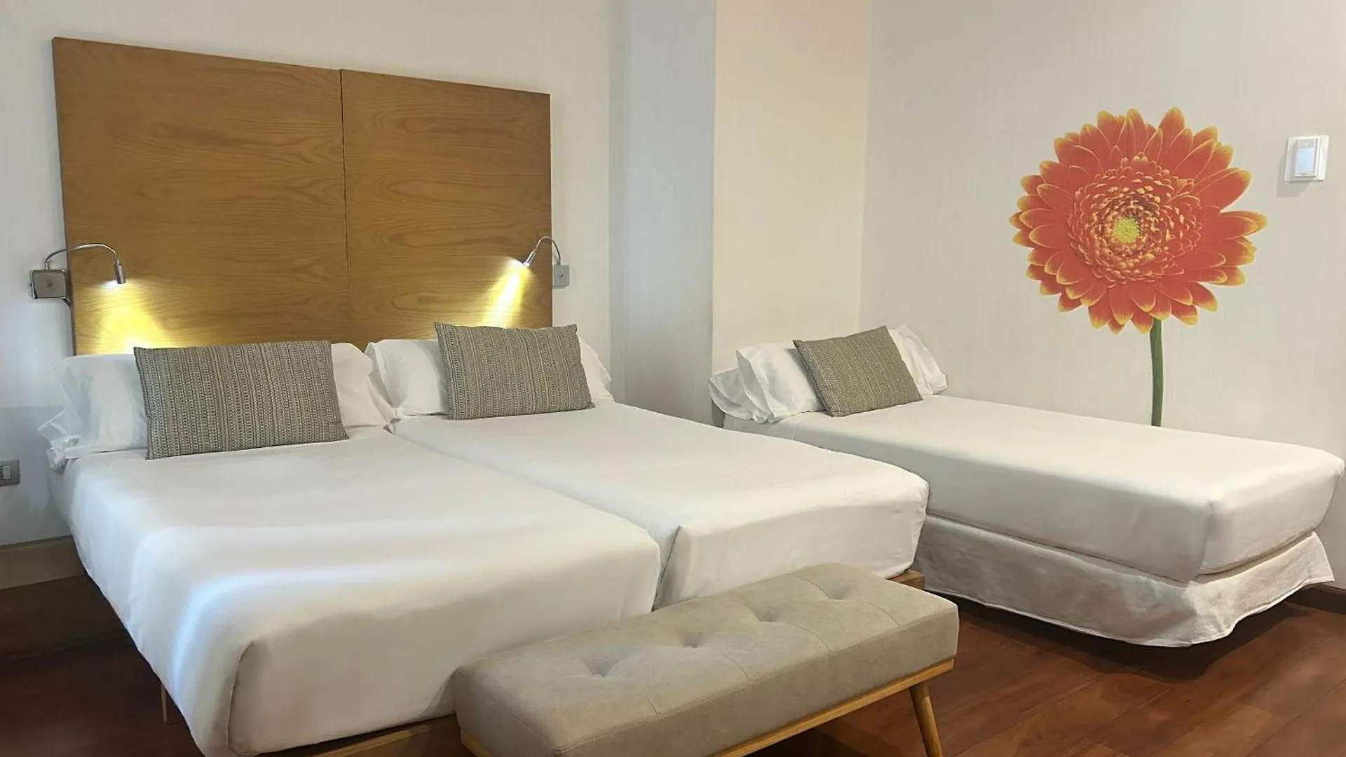Petit Palace Plaza מאלגה 4*,
